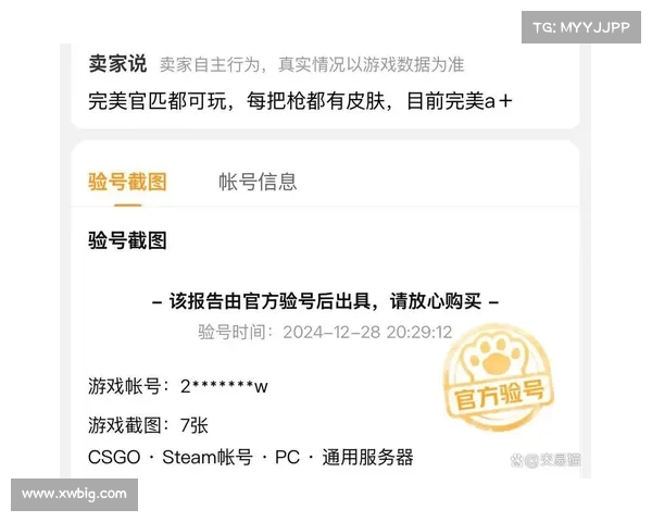 如何选择最适合的CSGO皮肤交易平台提升交易体验 如何选择最适合的CSGO皮肤交易平台提升交易体验