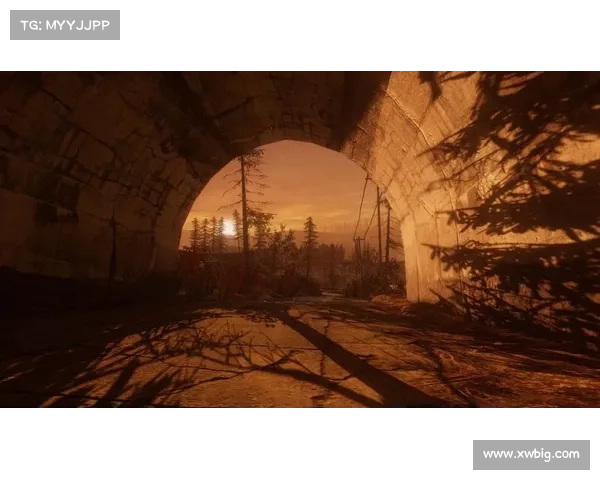 揭开伊瓦尔德废墟七大历史谜团 探寻失落文明的真实面貌