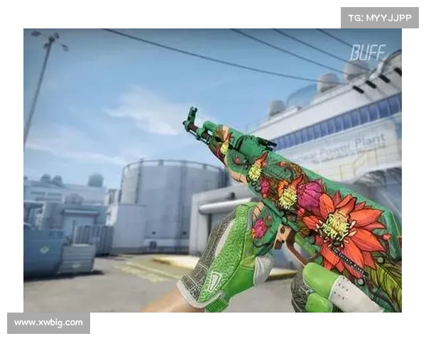 暴躁女性CSGO玩家必备的五大技巧助你轻松制霸全场